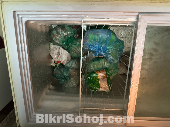 Singer Deep Freezer 205 Litre